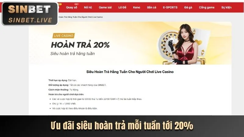 Lợi ích thành viên 8kbet